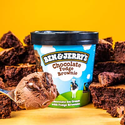 Pint of Chocolate Fudge Brownie