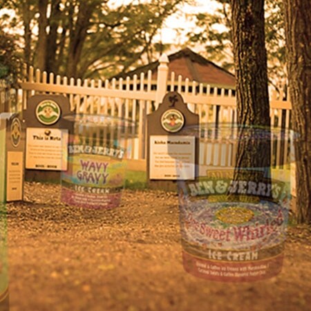 Graveyard of Ben & Jerry's flavors