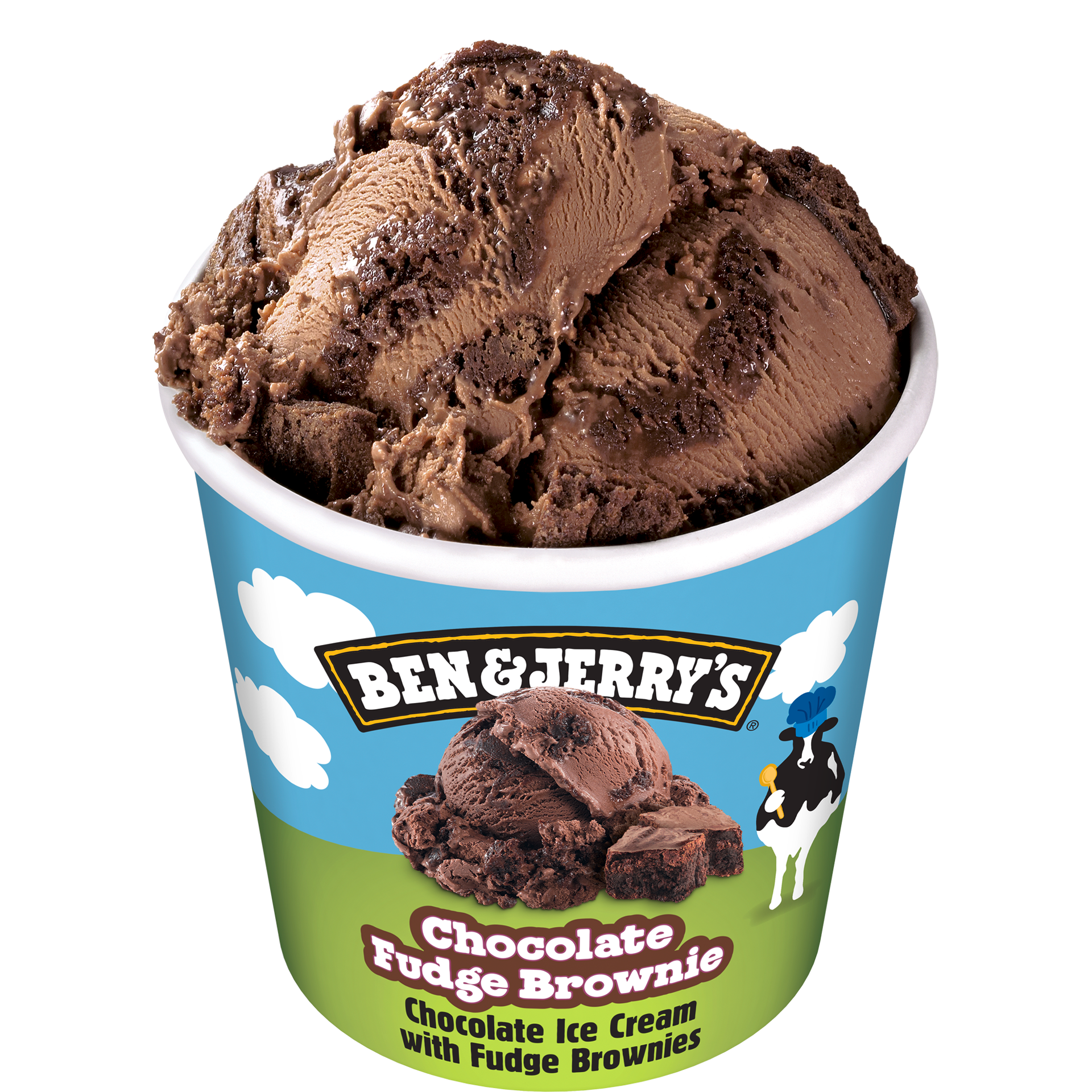 Chocolate Fudge Brownie Ice Cream - Mini Cup