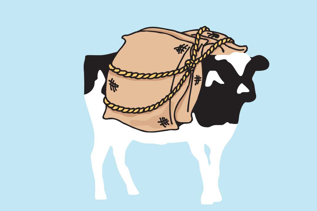 Woodie with sacks on his back